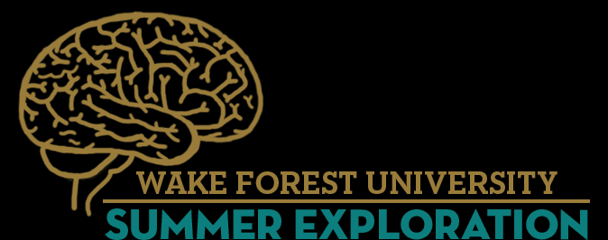 Wake Forest Summer Exploration Programs
