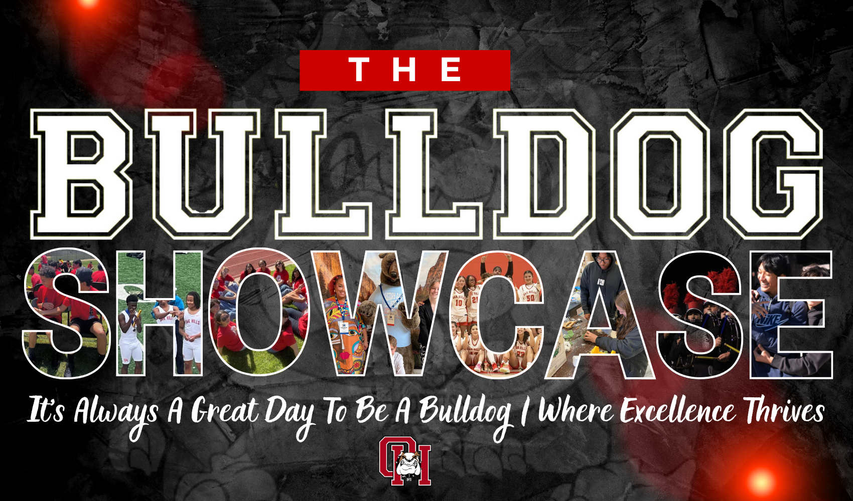 Bulldog Showcase