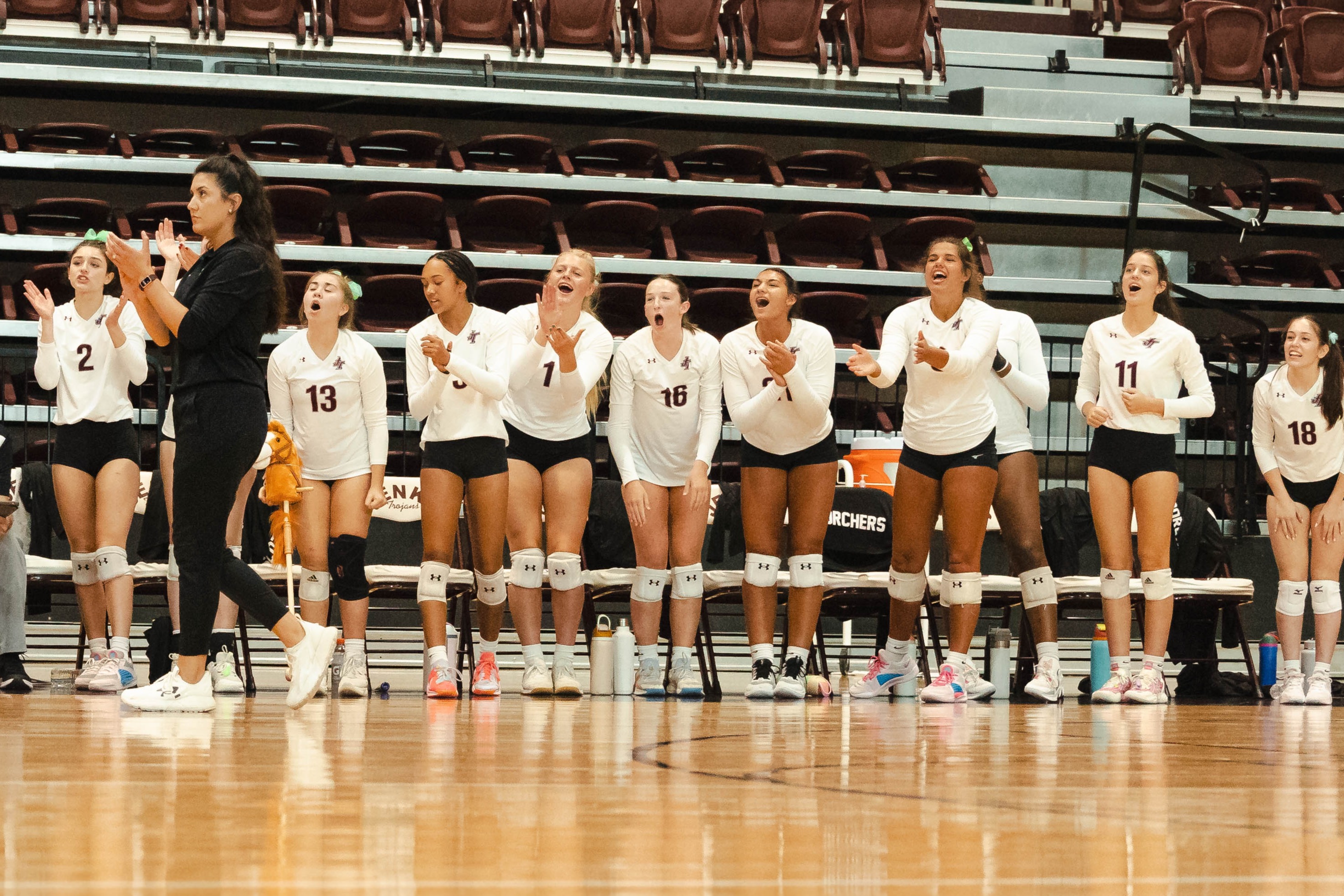 Volleyball cheering on team from sidelines