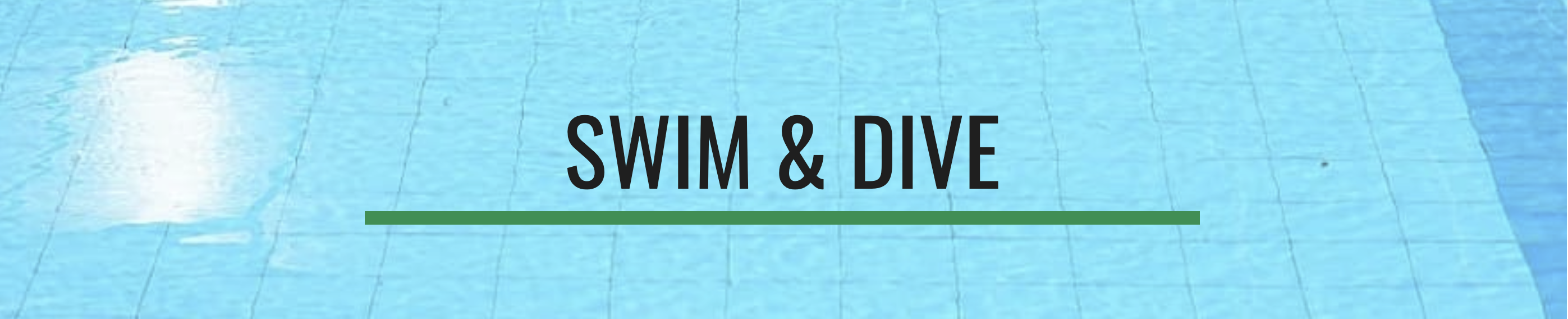 swim & dive