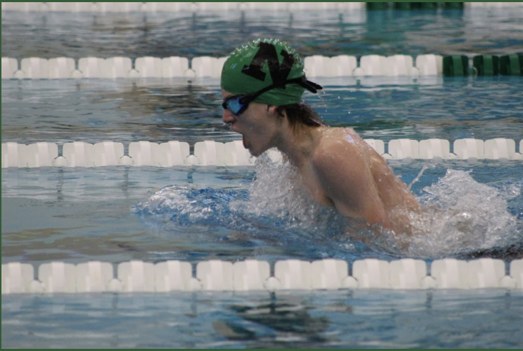 swimmer action shot