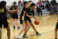 girl dribbling basketball