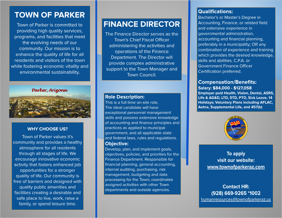 Finance Director Brochure 