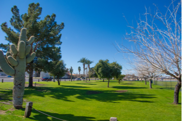 Western Park Main Grass Area Photo