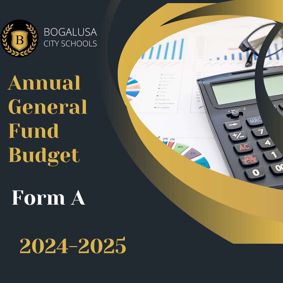 annual budget form a