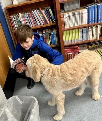 student kneeling and reading to therapy dog next to library bookshelf