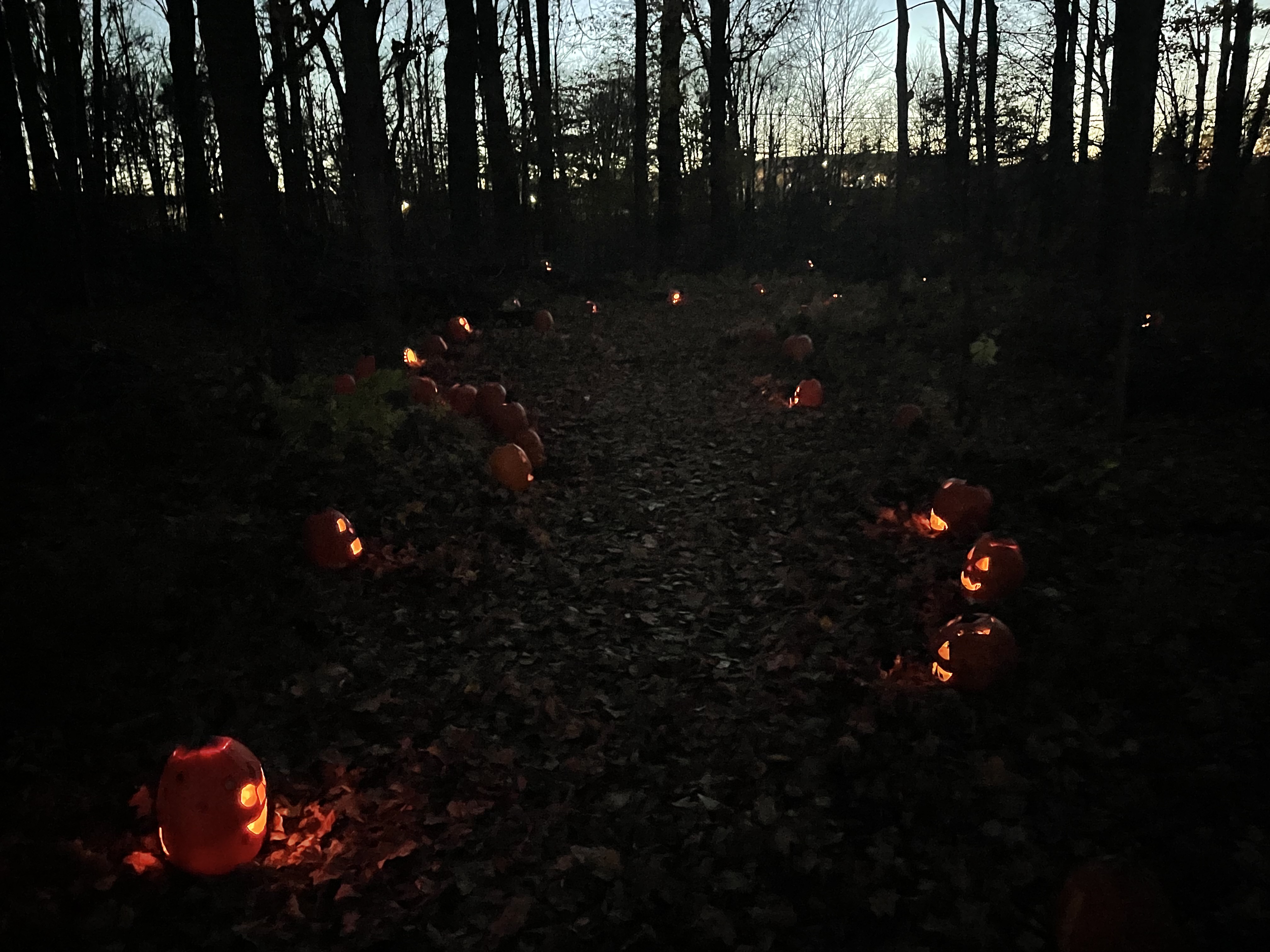 lit pumpkins at night