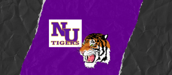 tigers