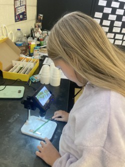 Student Using Microscope