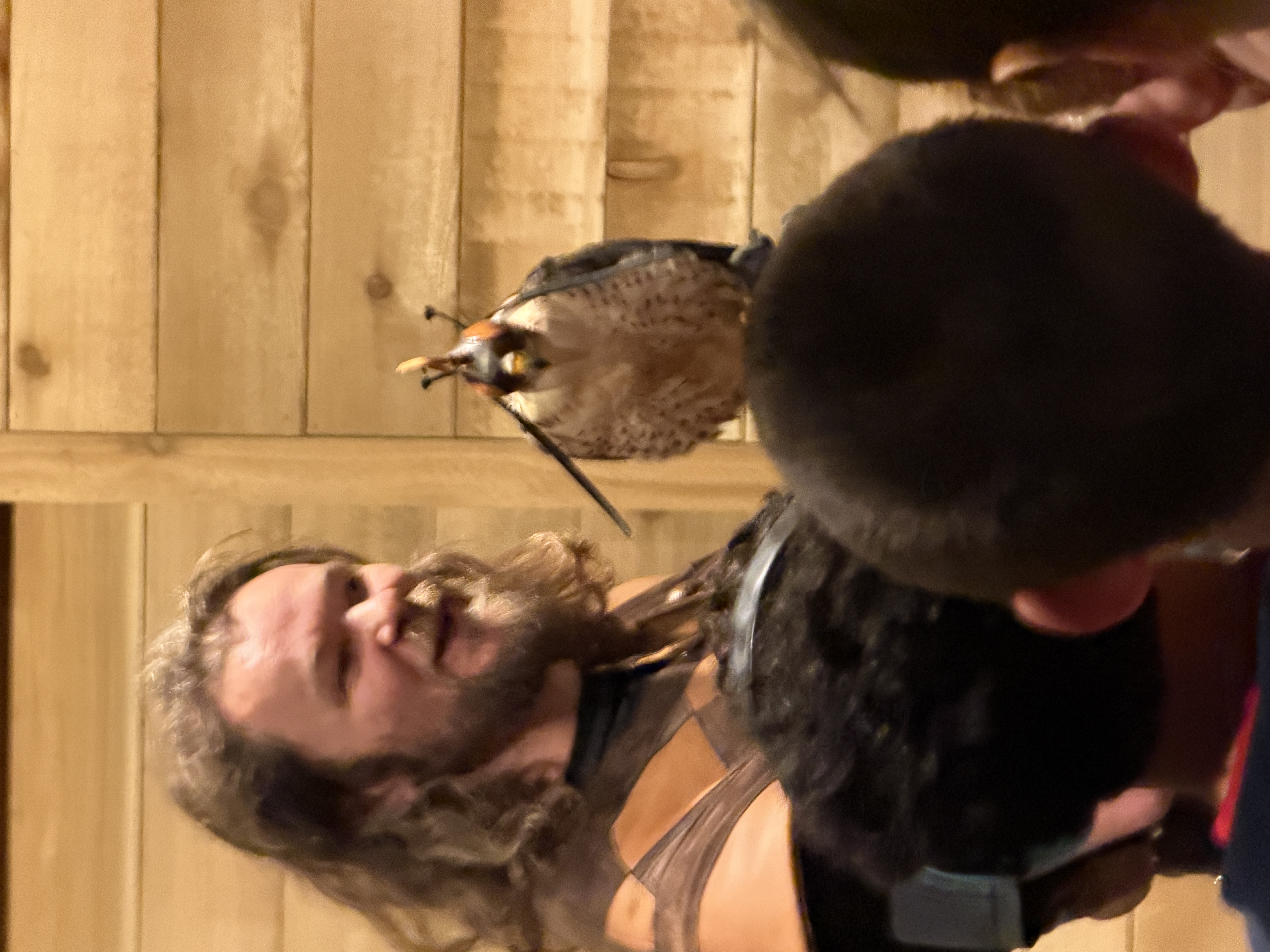 A man with long hair and a beard displays a falcon to a group of children.