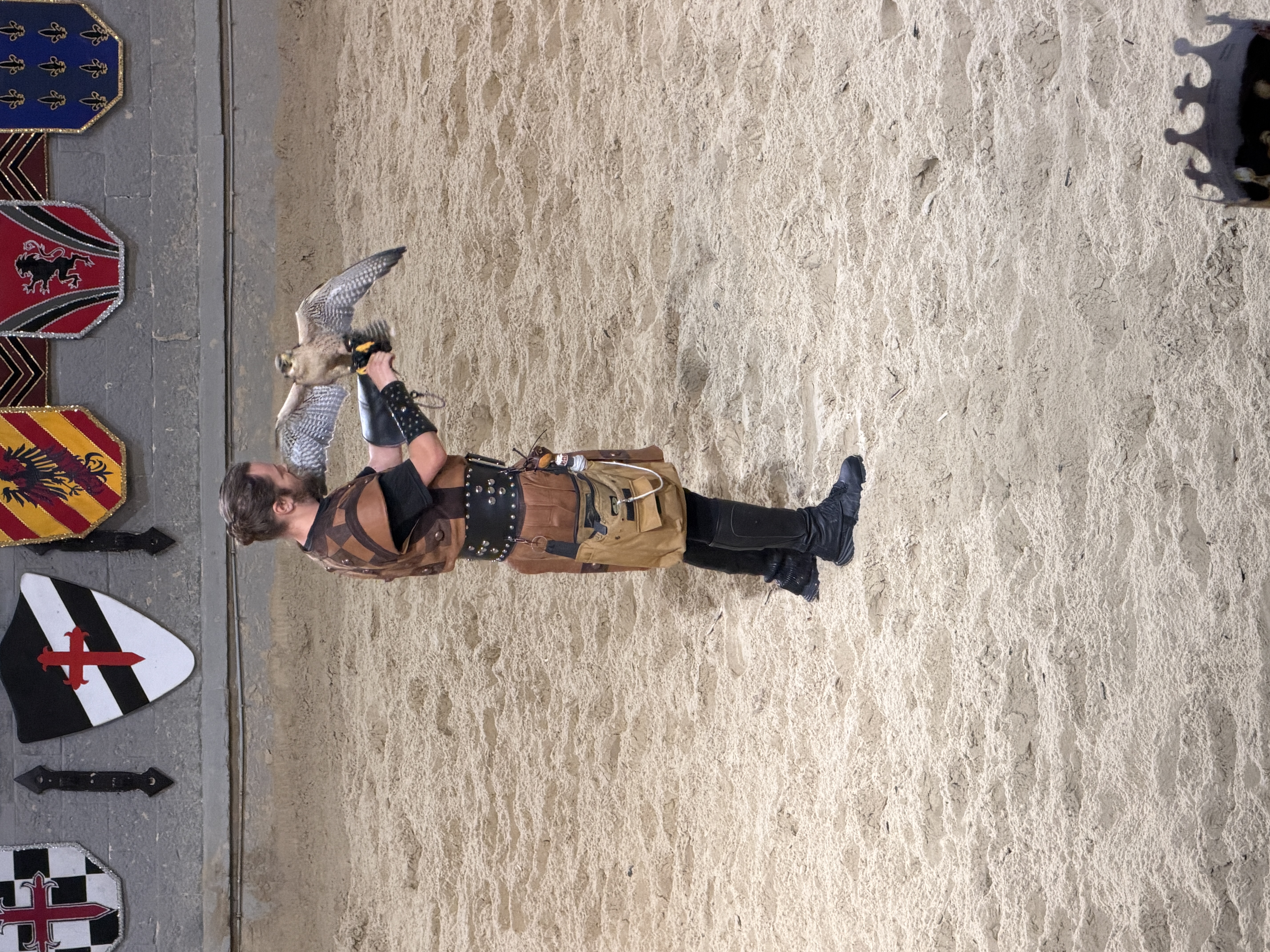 A person in a costume holds a bird in an arena with various banners on the wall.