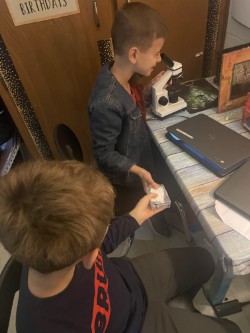 Two children with brown hair, one using a microscope while the other holds a small object.