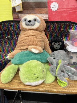 Stuffed animals including a sloth, turtle, monkey, and octopus on a wooden table. Background includes a rainbow and storage container.