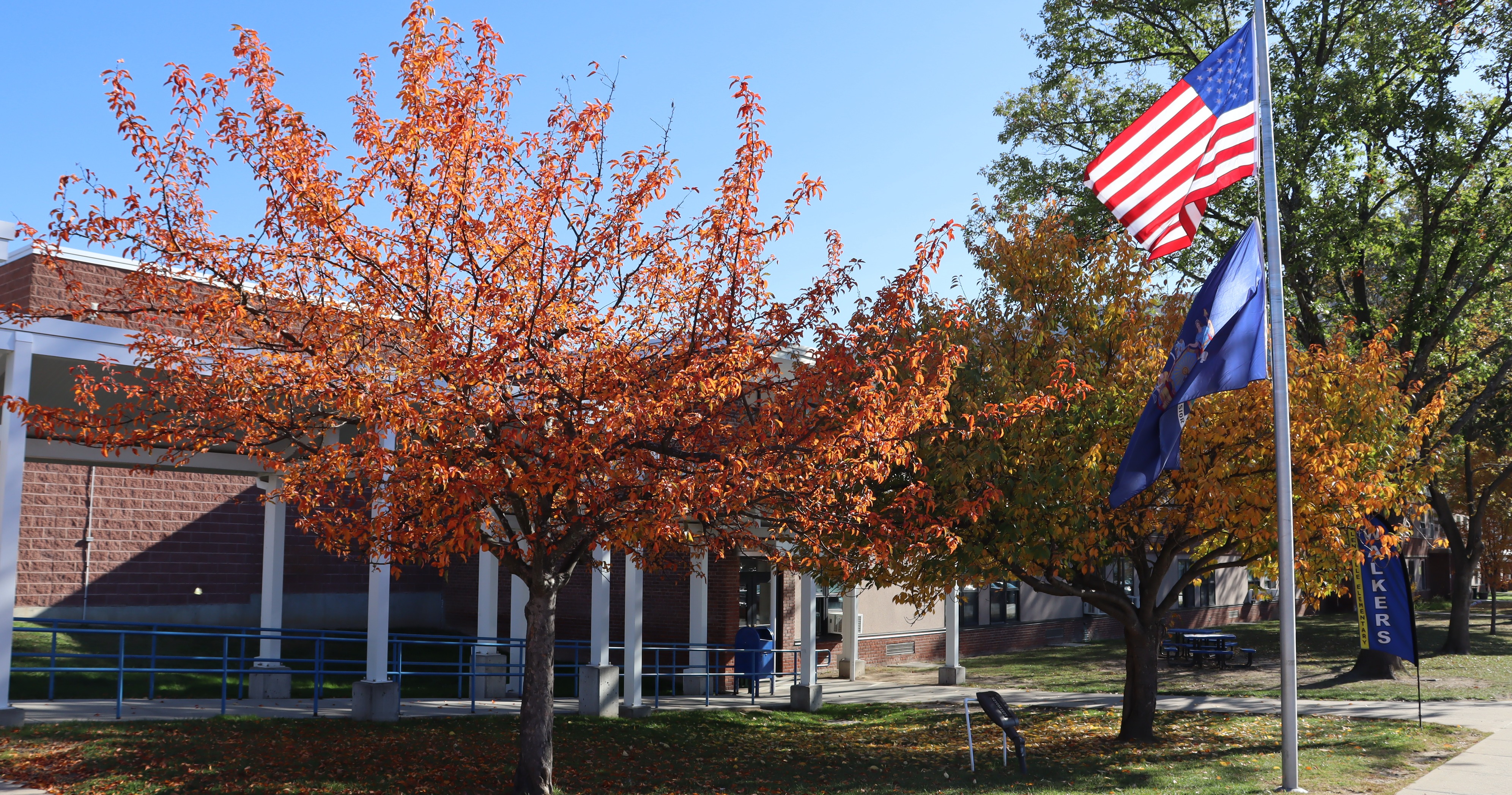 Outside of campus with fall tree