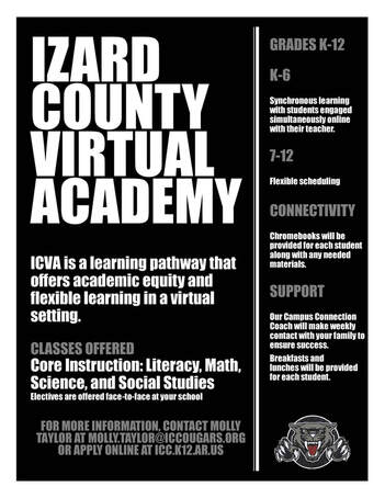 Virtual Academy Flyer