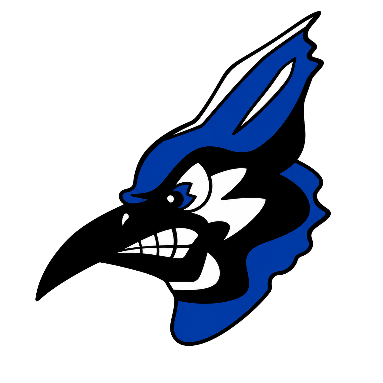 nsd logo