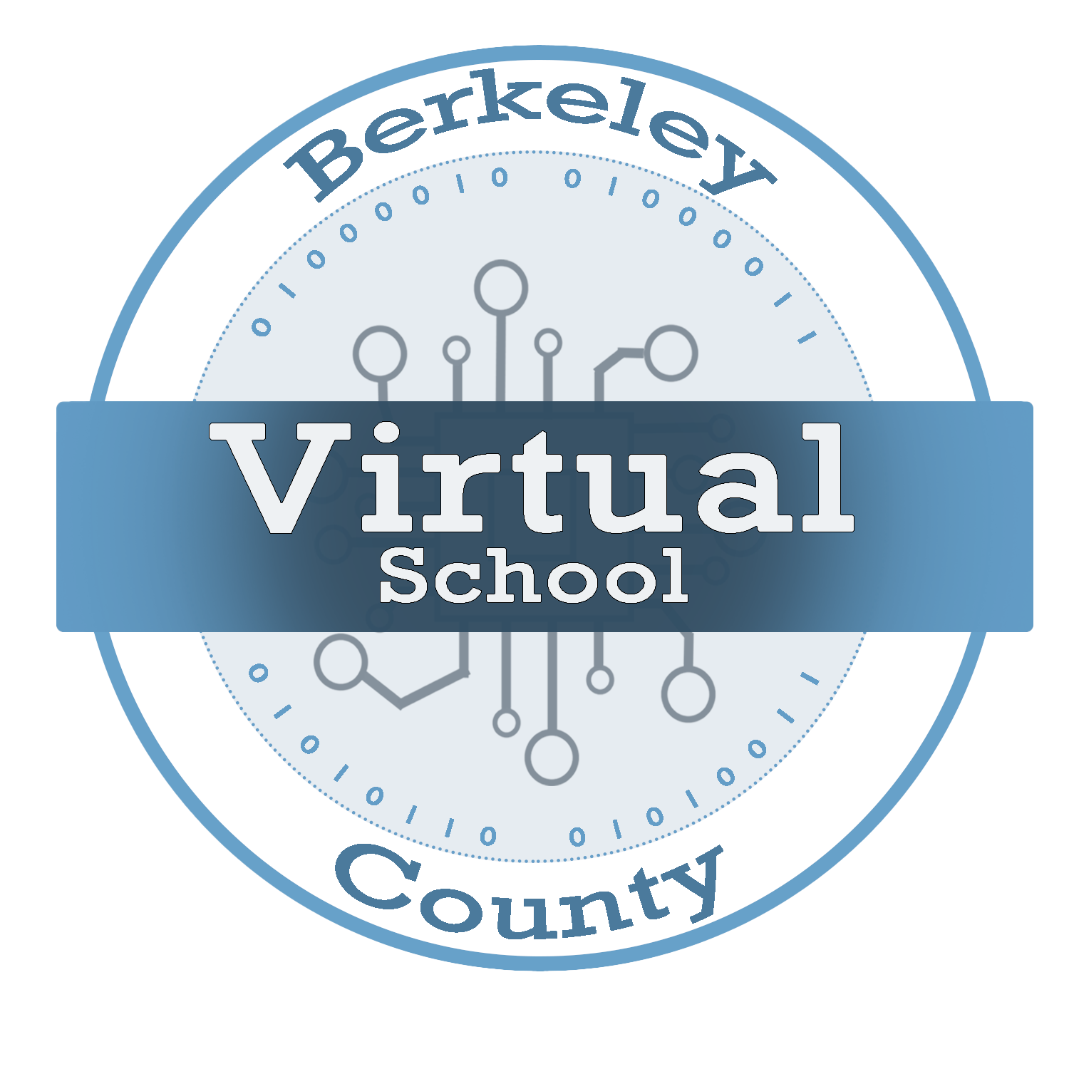 BERKELEY COUNTY VIRTUAL SCHOOL LOGO