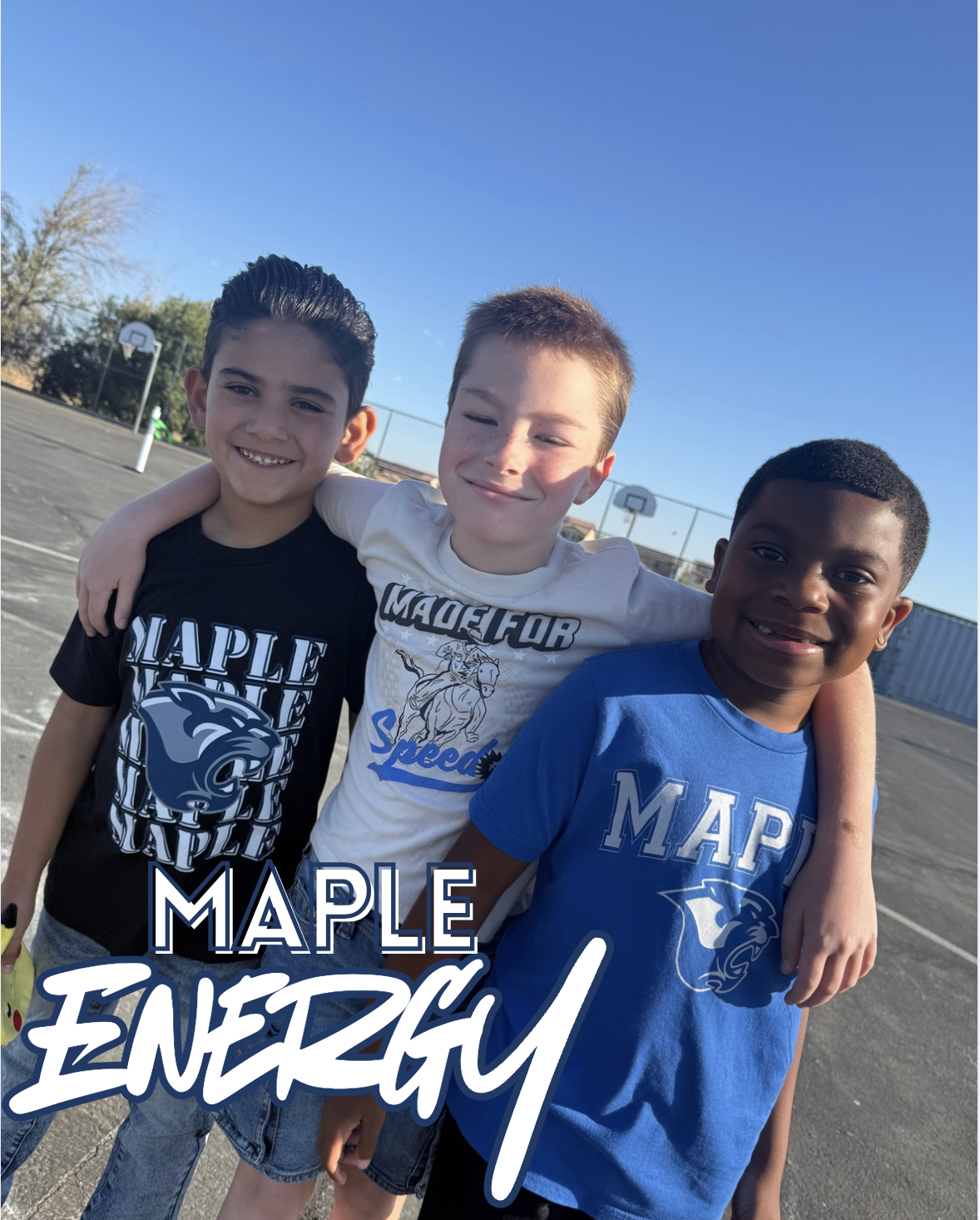 Maple 1