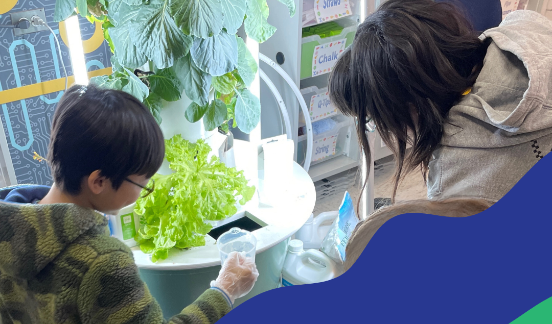 Hydroponics