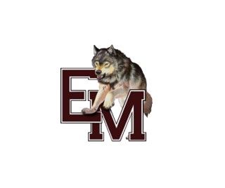 EMMS