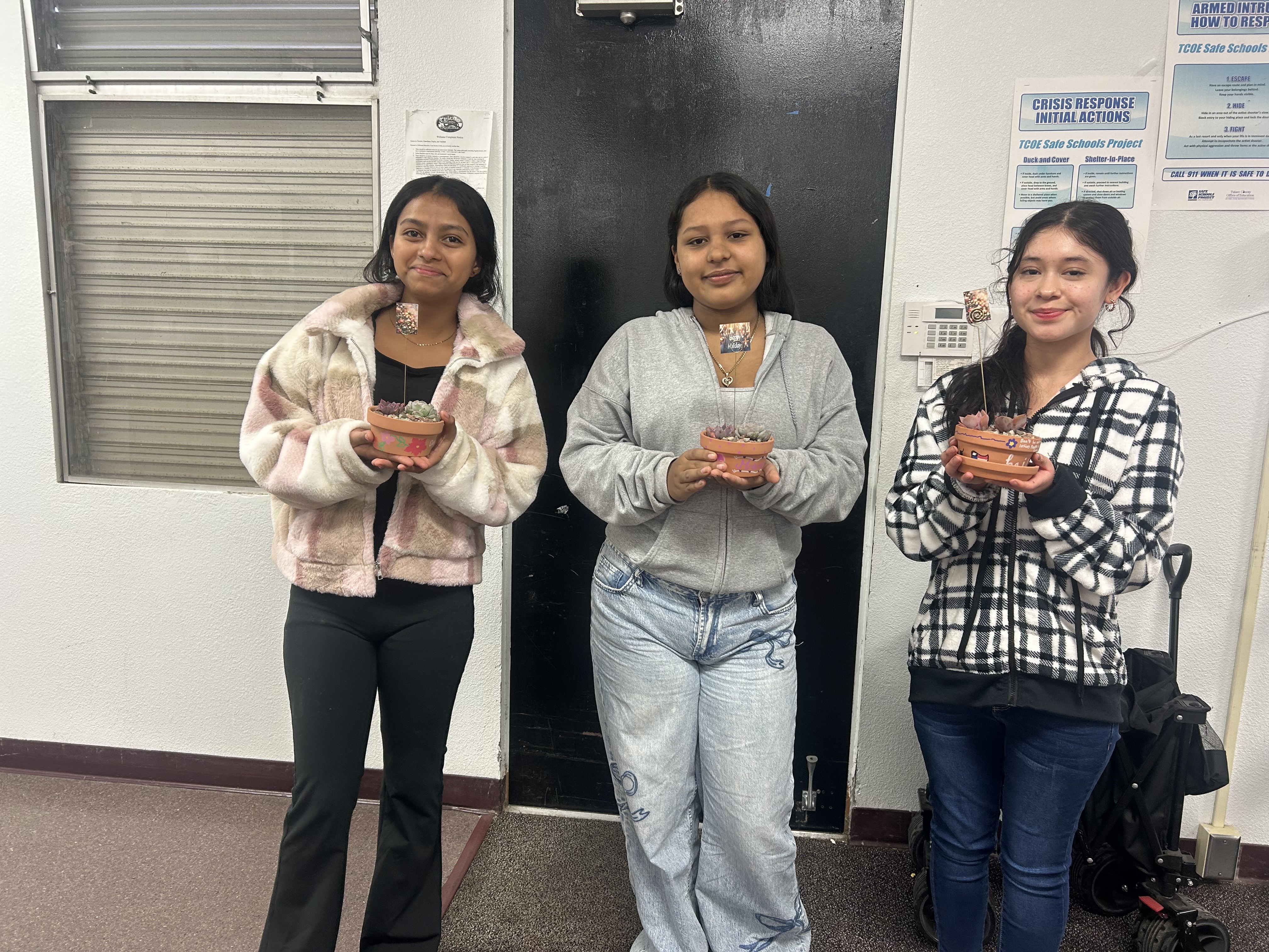 OHS students planting succulents