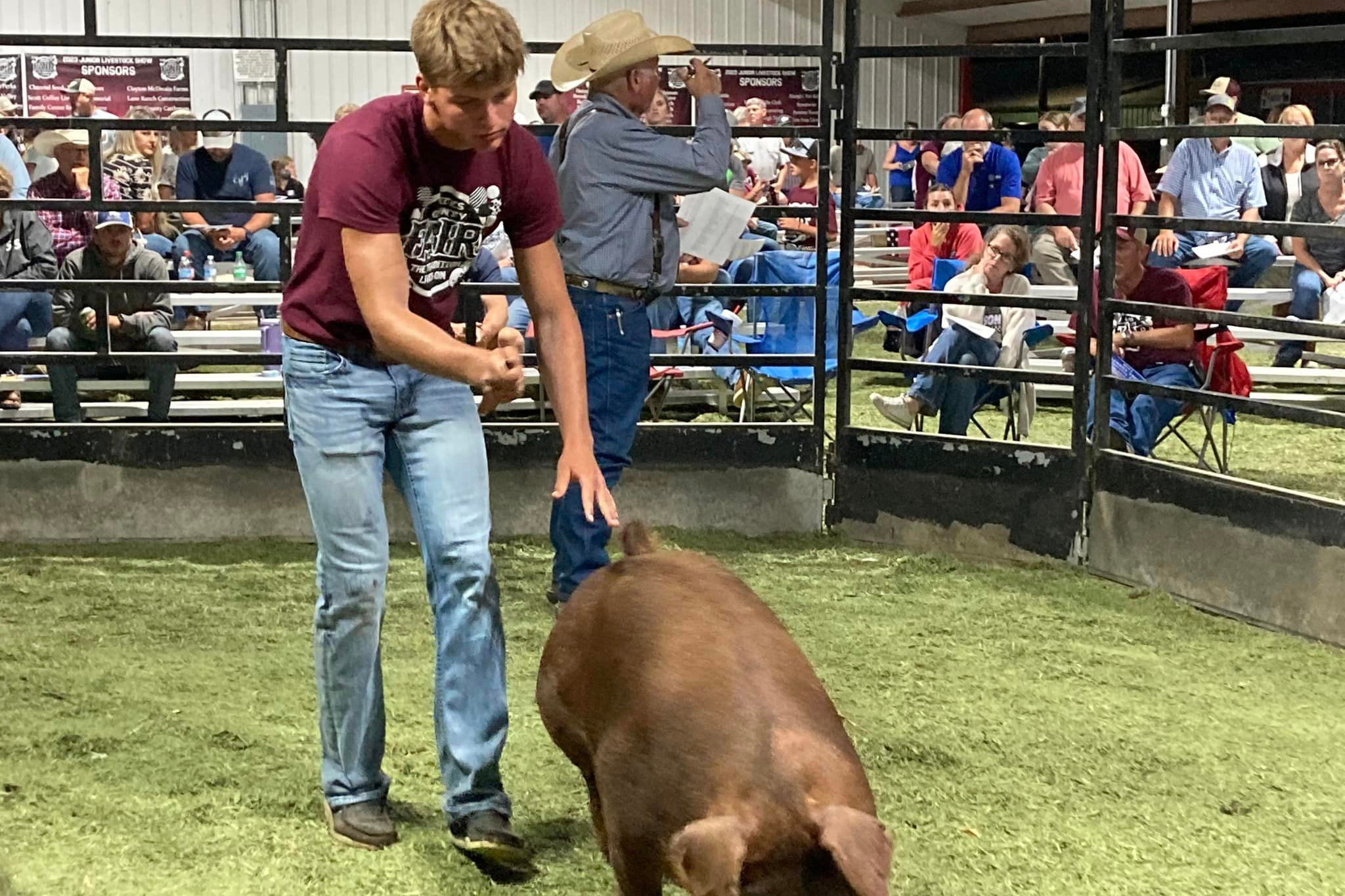 Briar Pig