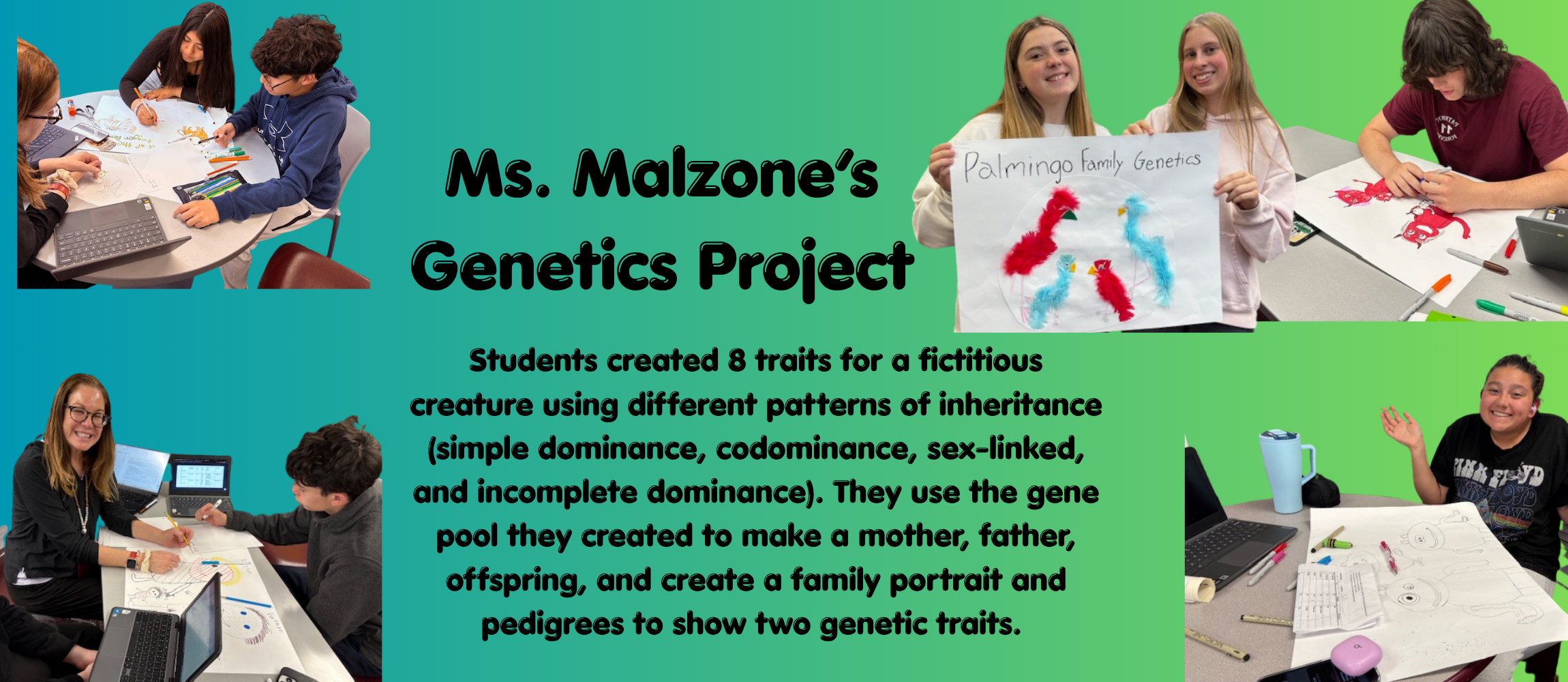 Genetics project photos