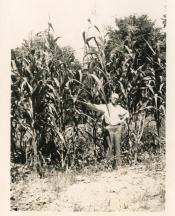 Rowland's grandfather poses in his cornfield, about 1930.