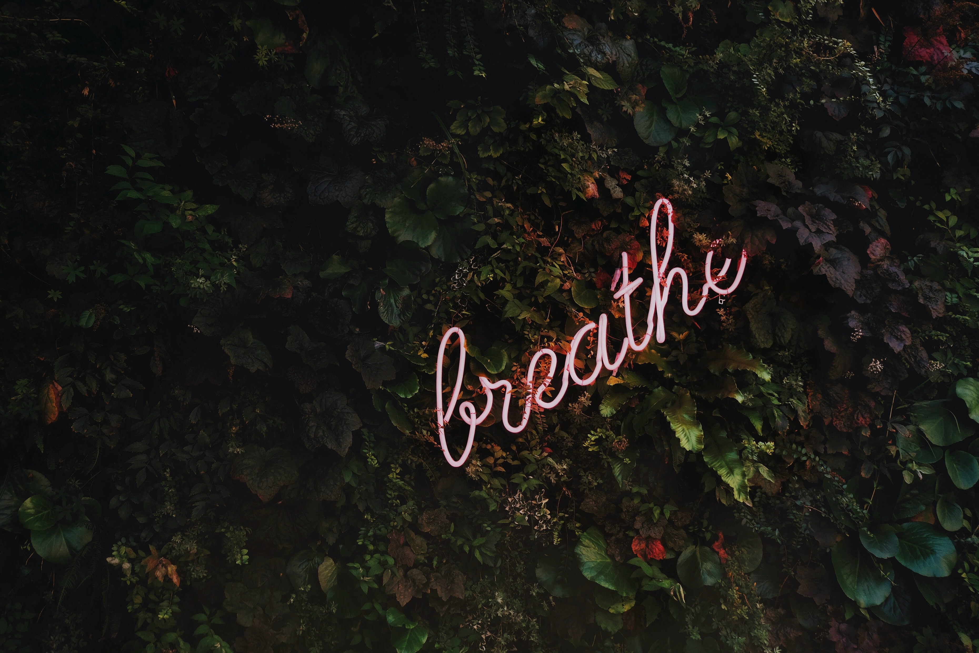 image of neon sign that says breathe