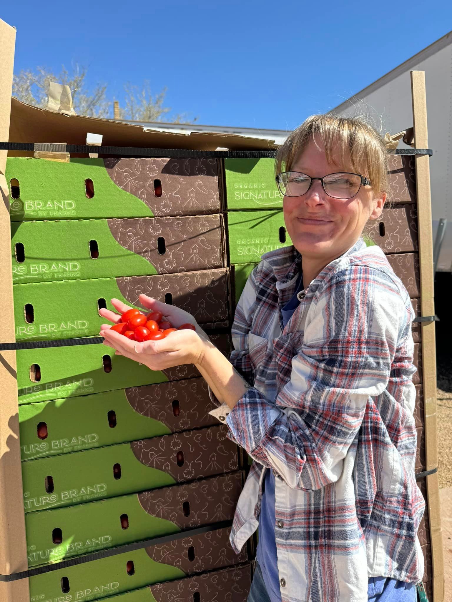 Farmer holding tomatos