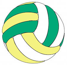 yellow green white volleyball