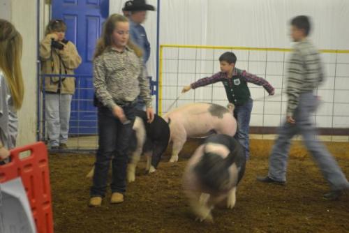 4-H