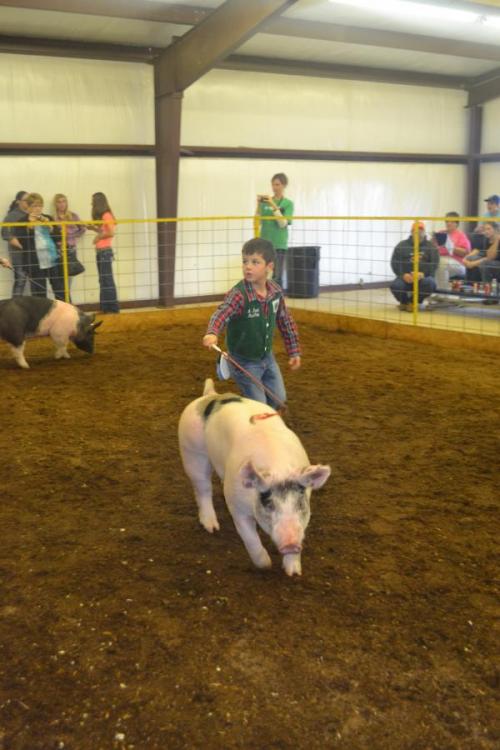 4-H