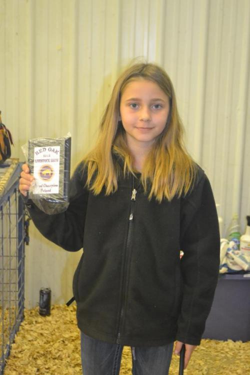 4-H