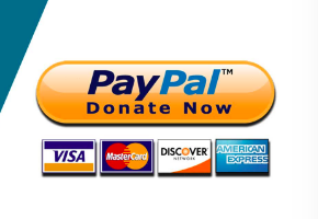 Bright yellow PayPal "Donate Now" button with logos for Visa, MasterCard, Discover, and American Express displayed below.