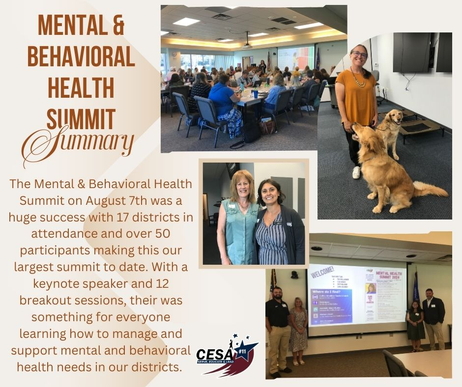 Mental and Behavioral Health Summit Summary