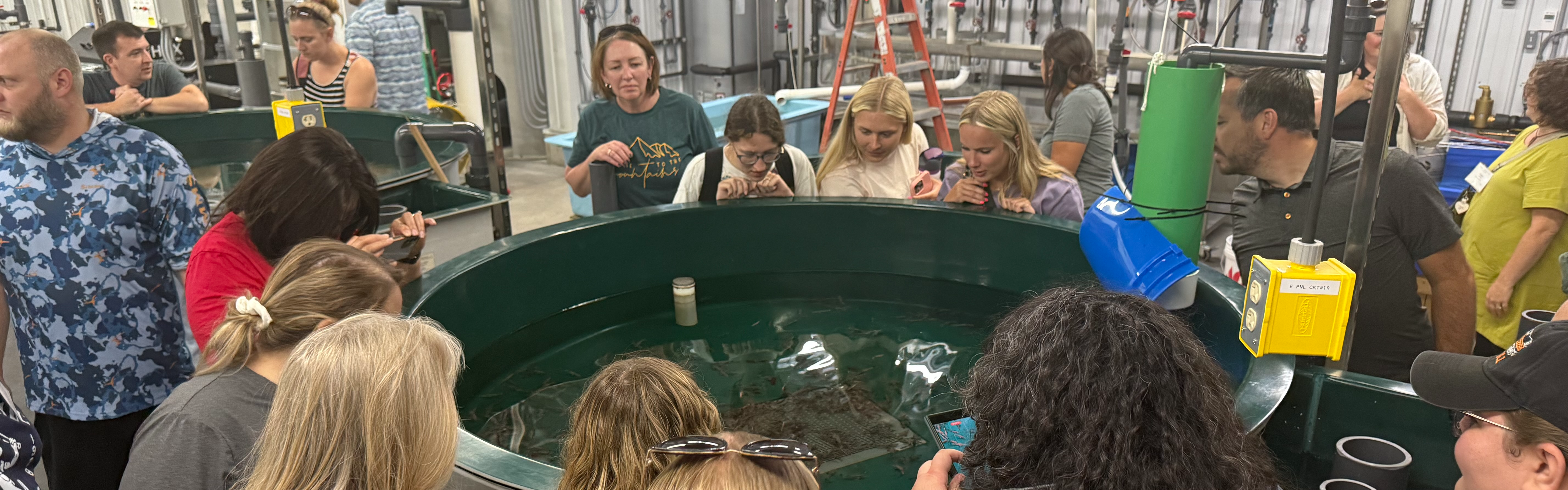 2025 American Indian Studies