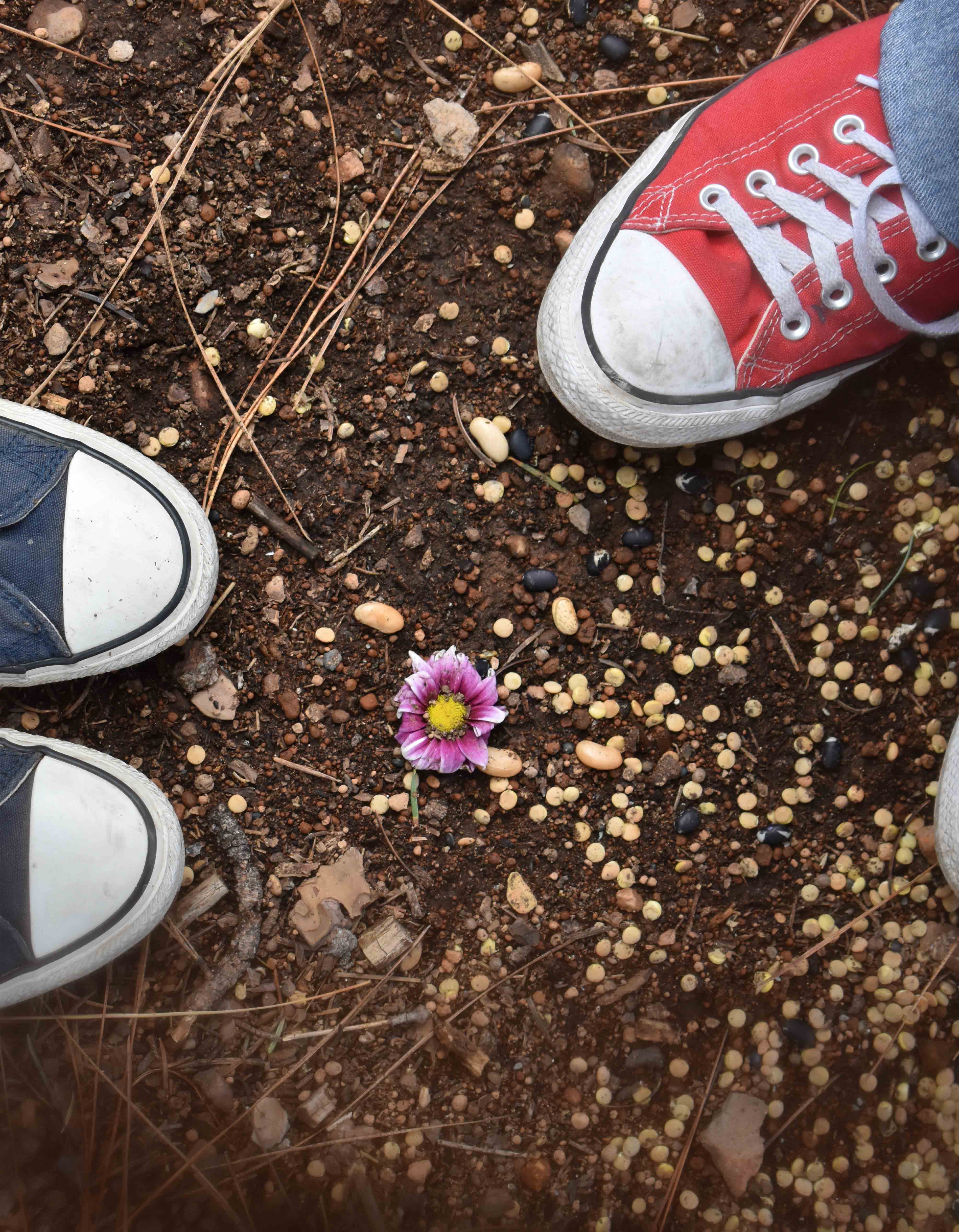 Flower and shoes