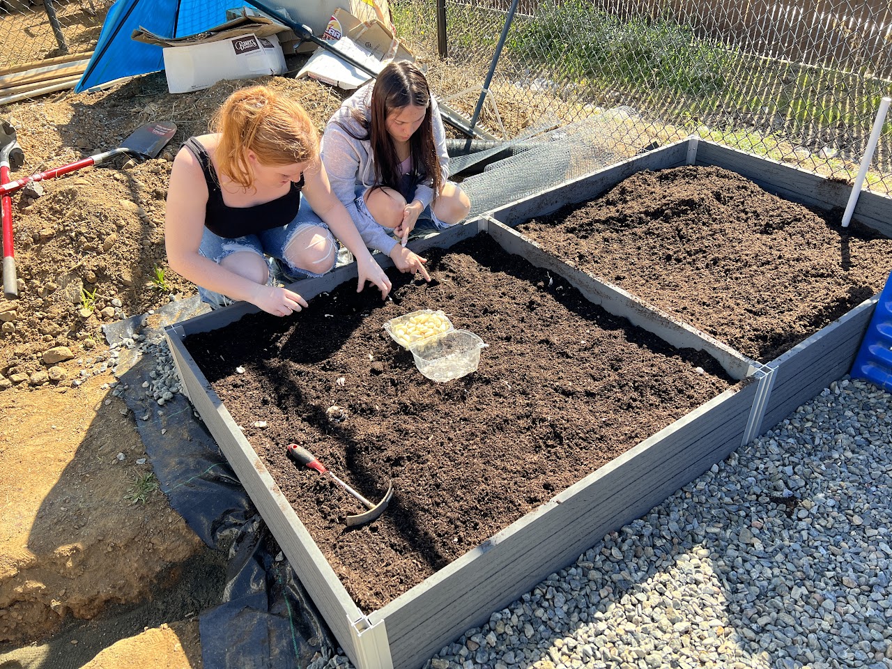 image of students planting a garden