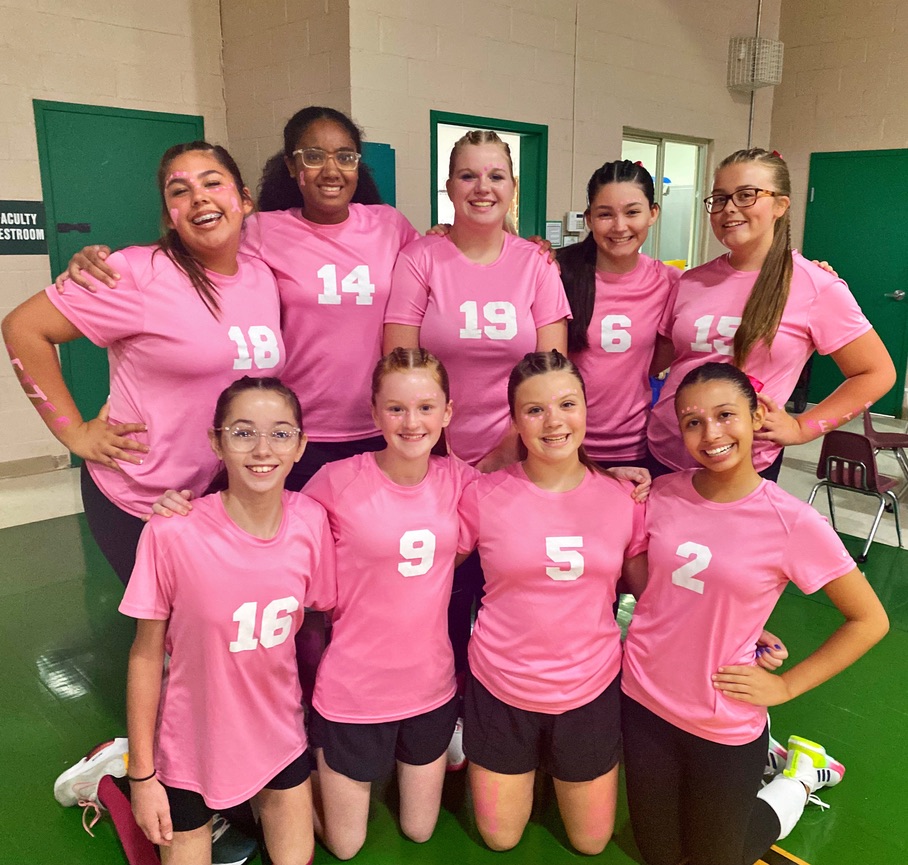 MS VB PINK OUT 2025