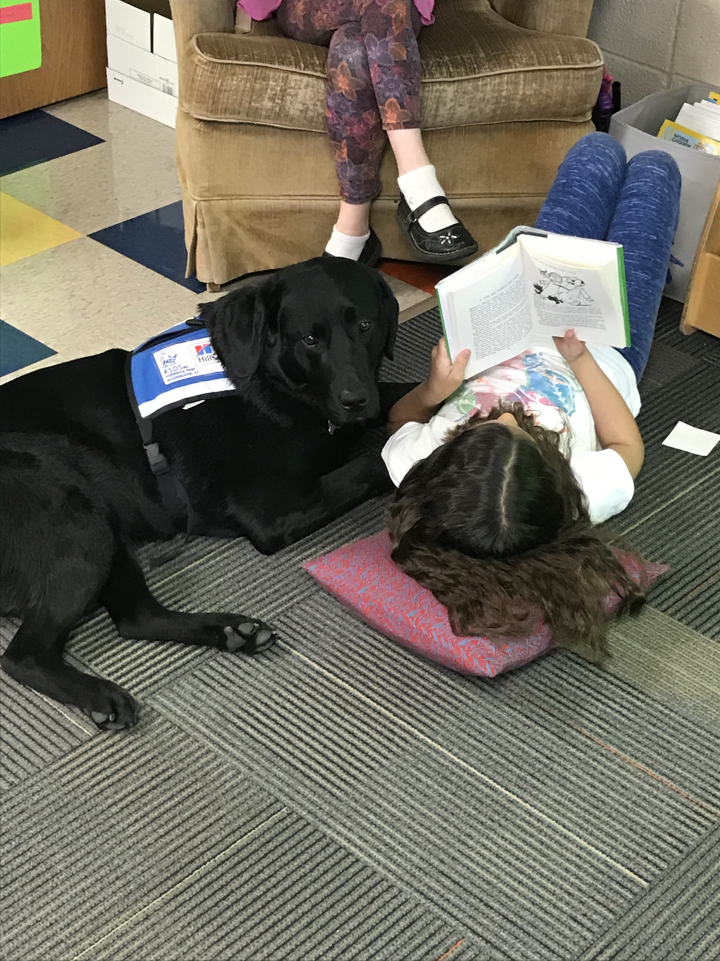 Dog with student while she is reading