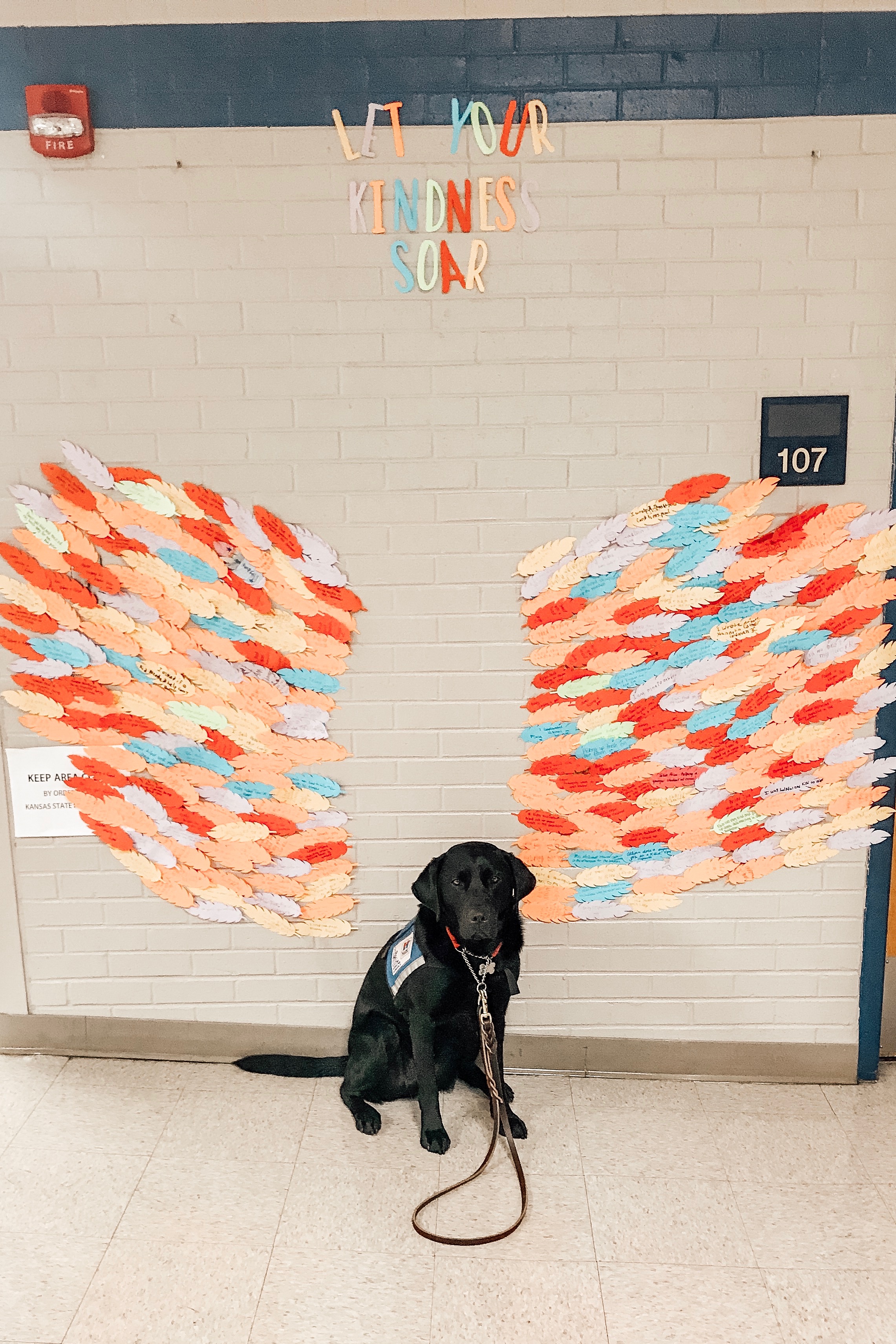 Dog with wings in the wall