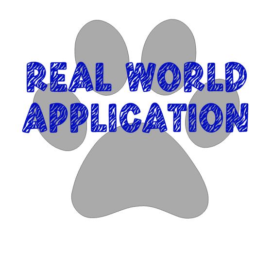 Real World Application