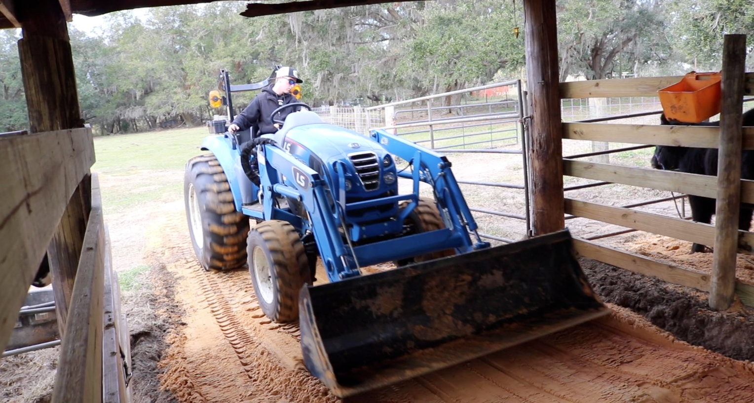 Person in protective gear driving a blue tractor with a front loader through a barn.