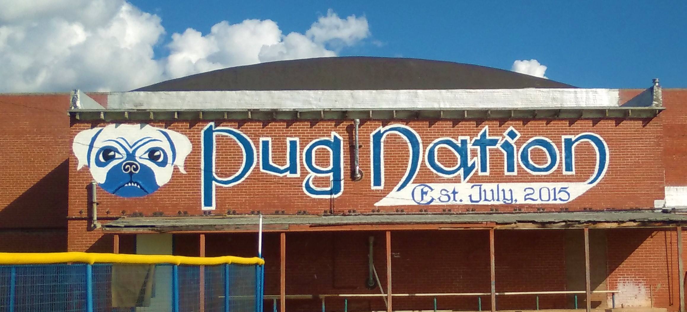 Pug nation mural at school