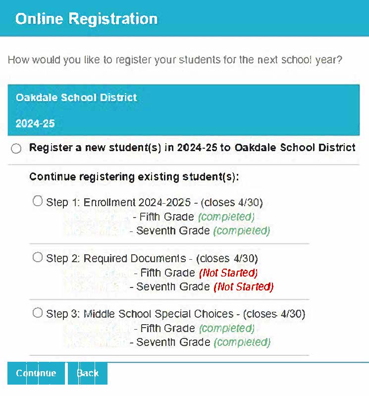 Online Registration Example Image