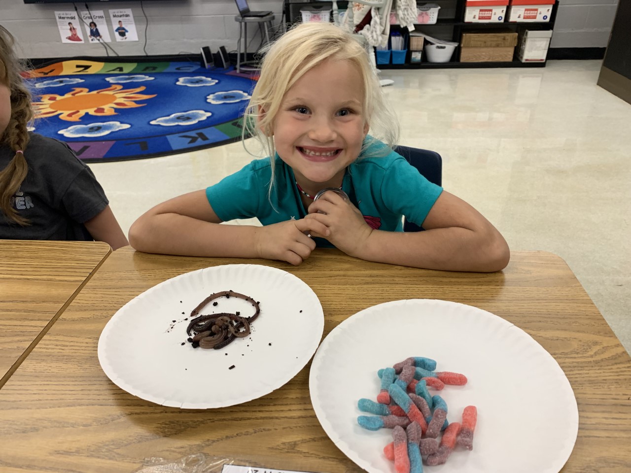 Worm experiment