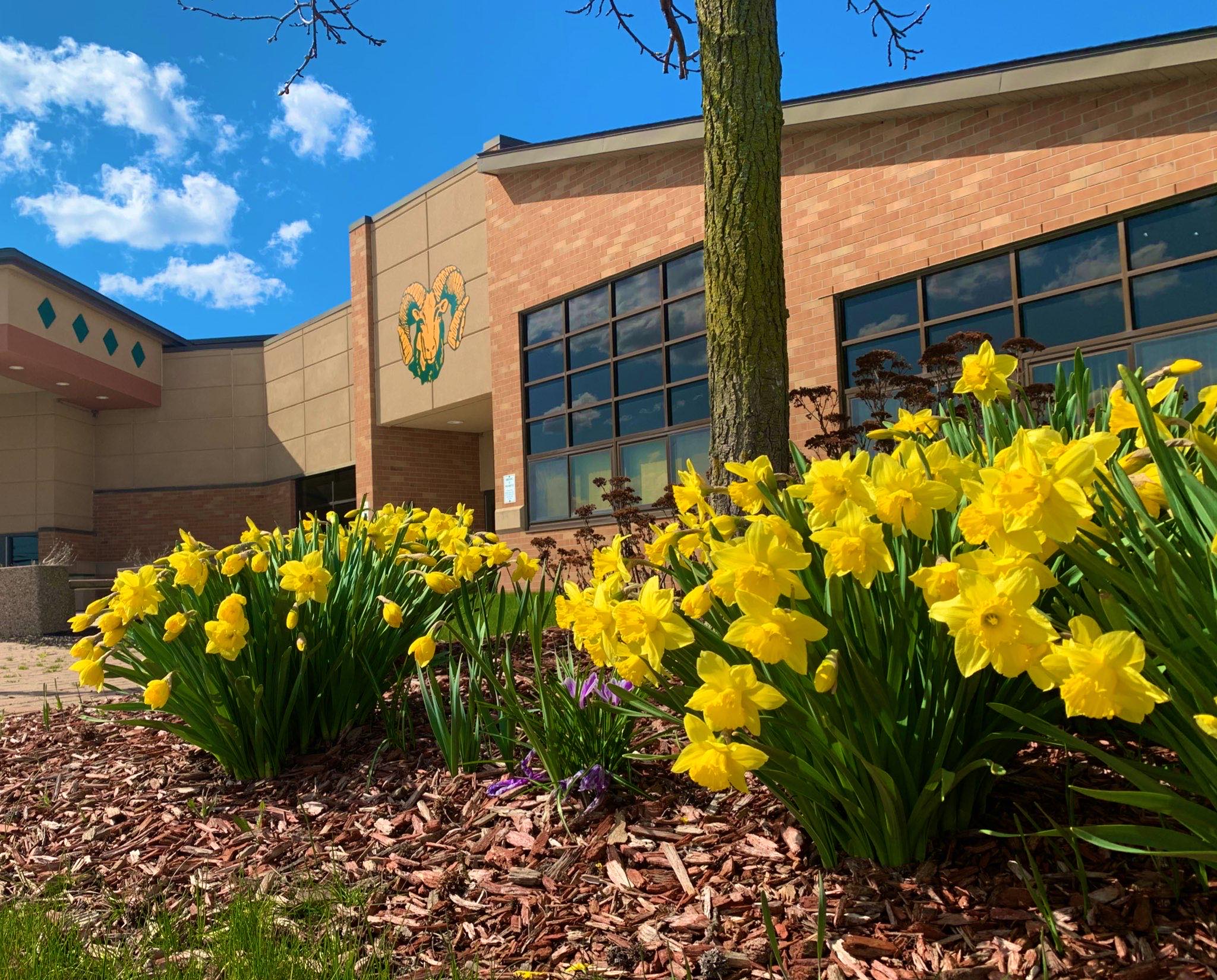 facade of flat rock community high school with yellow flowers in foreground