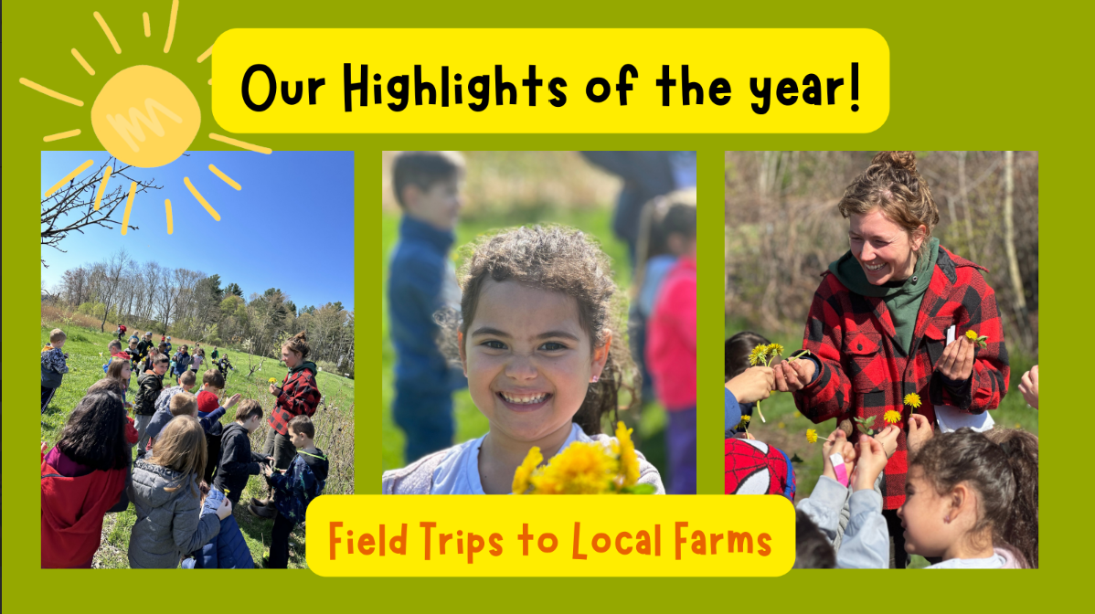 Field trips to local farms