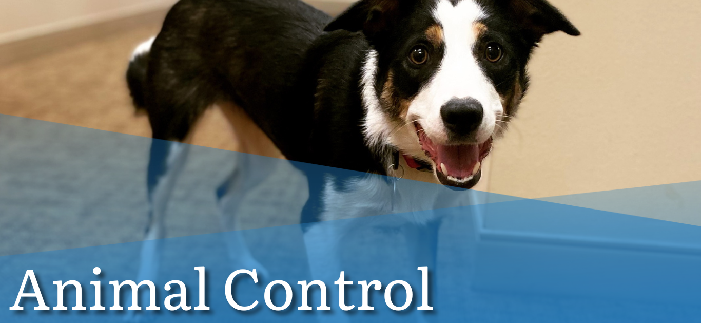 Animal Control Homepage Banner